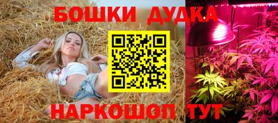 скорость Дубна