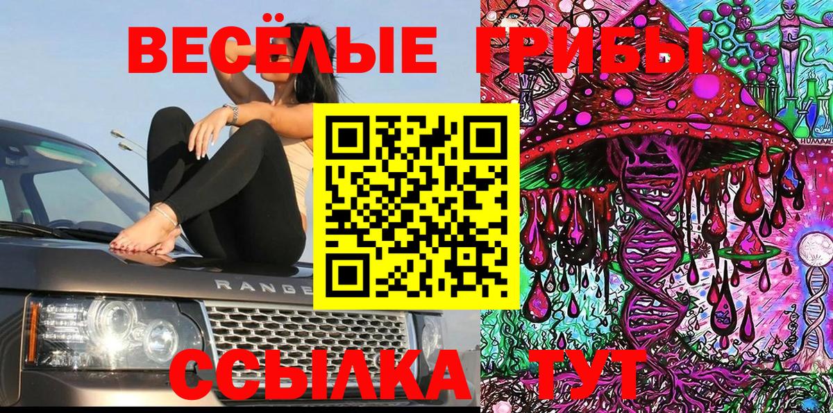 Галлюциногенные грибы Magic Shrooms Заинск